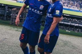 关于法国杯倒计时，上海申花转会期再遭质疑，细节引发关注，气氛紧张，赛程密集仍需轮换的信息